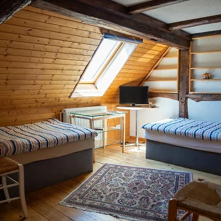 Pinocchio Tatil Evi *