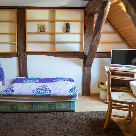 Tatil Evi Pinocchio *